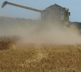 Getreideernte Sachen-Anhalt 2019
