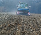 Herbstbestellung zur Ernte 2010: Erheblich weniger Roggen, 6 Prozent mehr Weizen, geringe Zunahme bei Raps