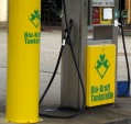 Korrektur der steuerlichen Förderung von Biodiesel und Rapsölkraftstoff erforderlich